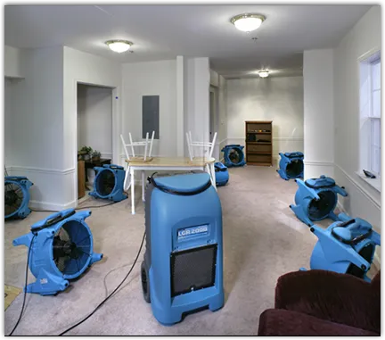 Drying & Dehumidification in Hamilton, OH