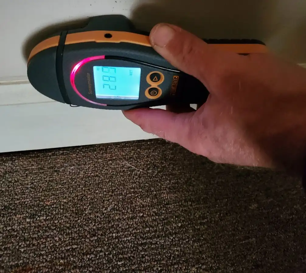 Moisture detection at baseboard during Burst Pipe Cleanup in Hamilton